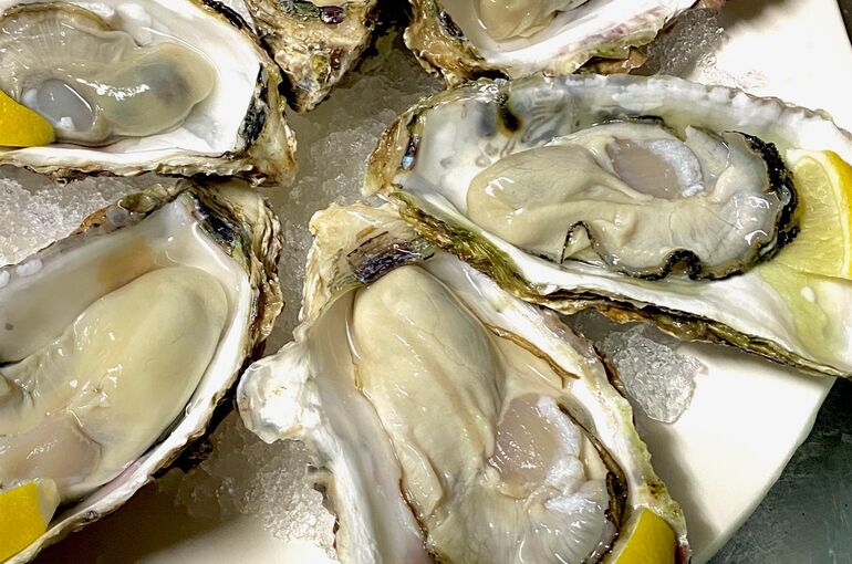 OYSTERS