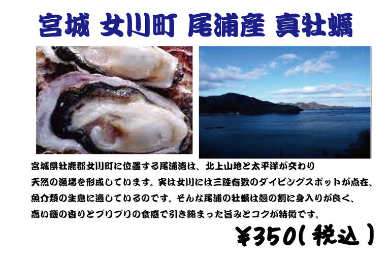尾浦真牡蠣